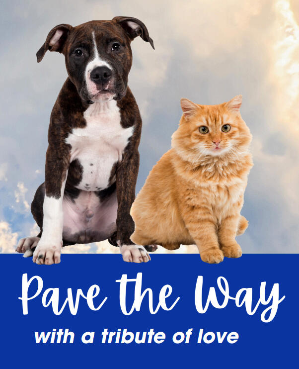 Capital Campaign logo Columbus Animal Care Services Capital Campaign banner - building a better future for our animals